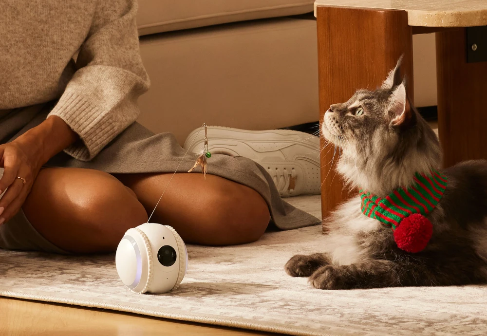 wireless home pet camera
